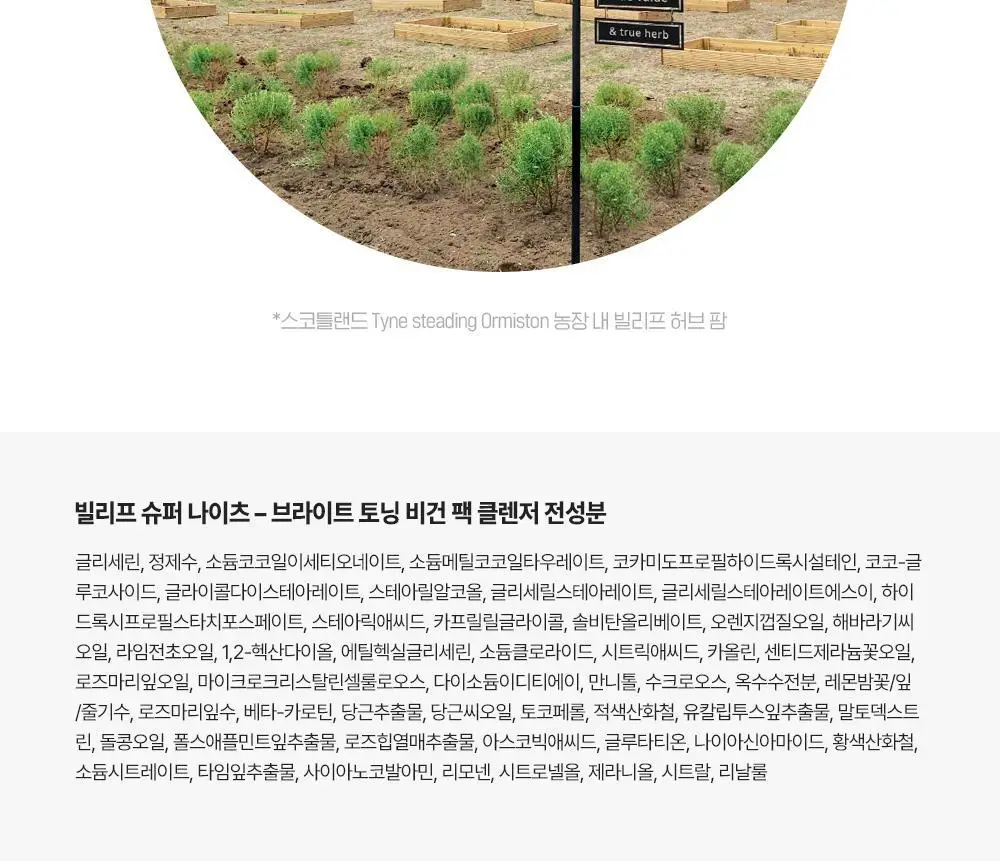 [투명광채/모공청소/수분진정] 빌리프 슈퍼나이츠 비건 팩 클렌저 150ml 단품/기획 (브라이트/포어퍼밍/하이수딩) 상세페이지 37